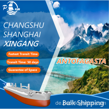 Bulkschachtel von Shanghai nach Antofagasta